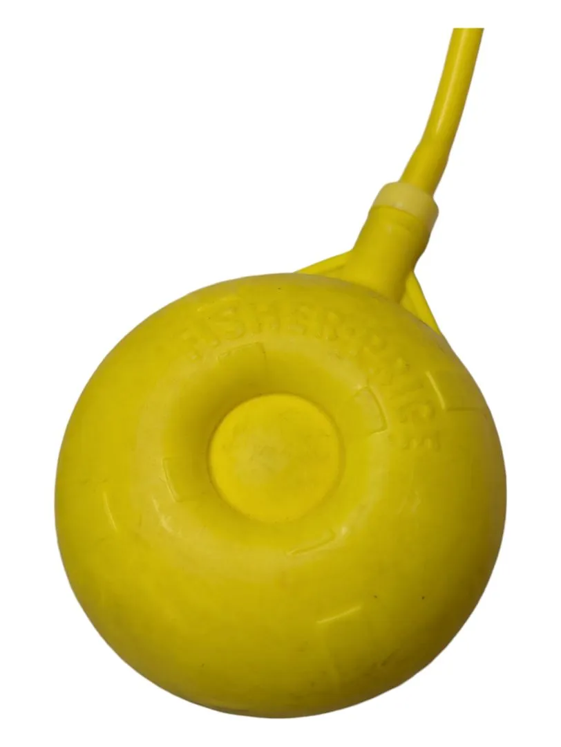 Fisher Price Jumping Frisky Frog
